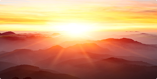 Rooted Holistic Healing & Wellness Fair on November 23 2024